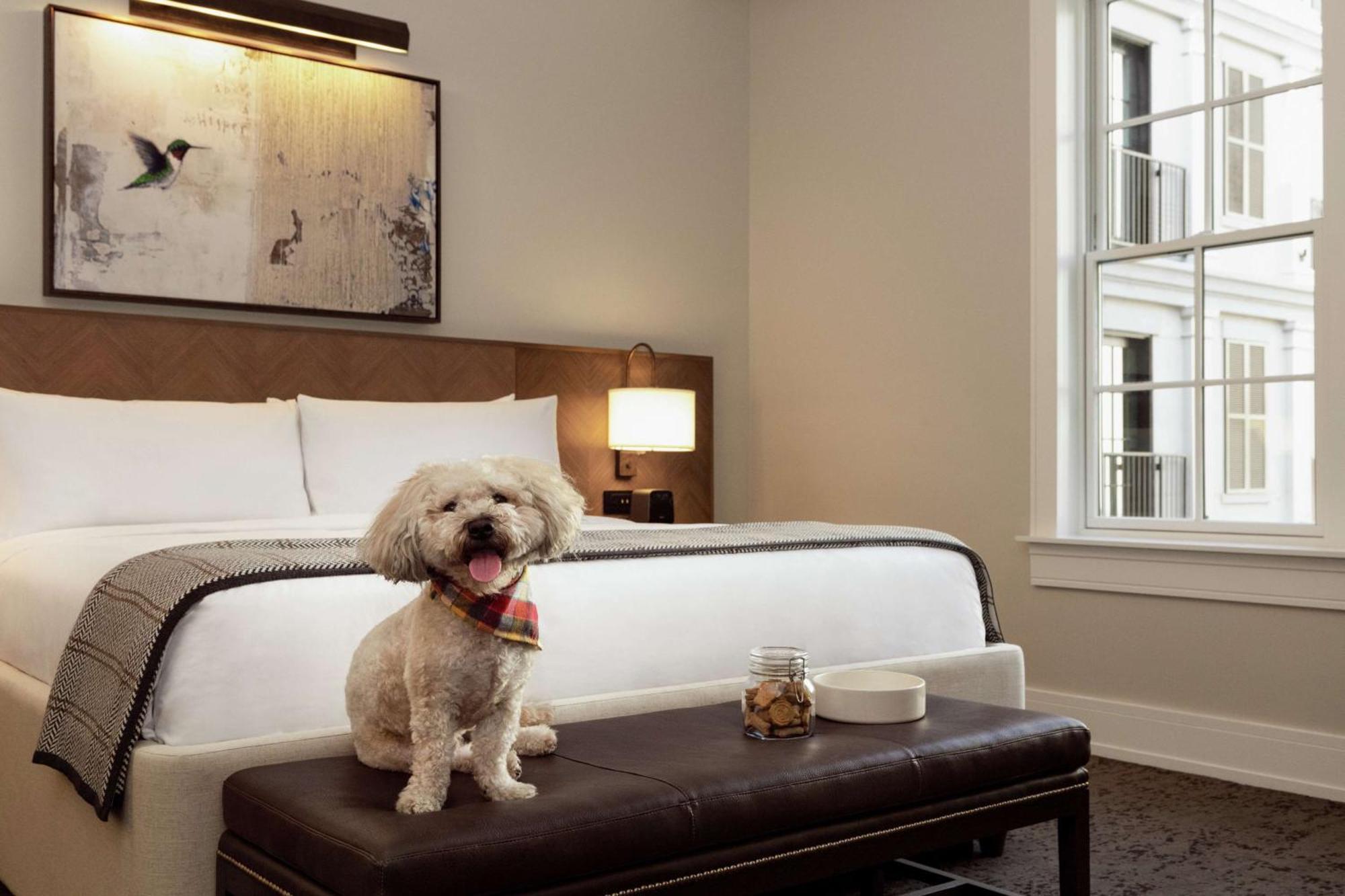The Harpeth Franklin Downtown, Curio Collection By Hilton Hotel Exterior foto